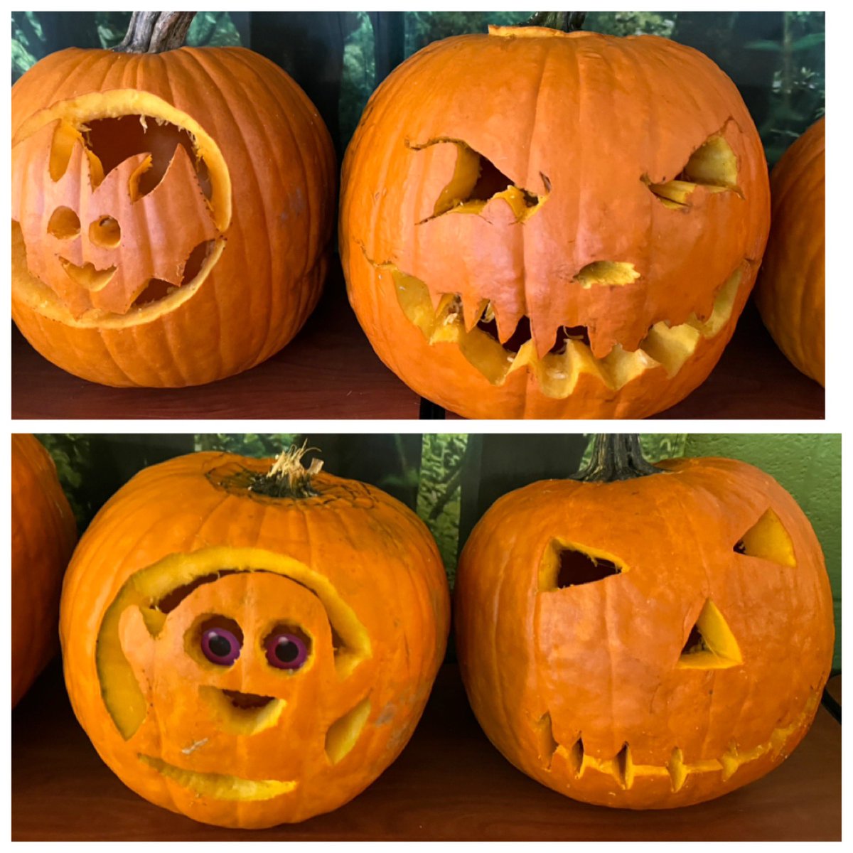 Ms Nuñez’s English 9 & 10 classes build community and Jack-o-lantern background knowledge by carving pumpkins together! Very creative! #RMemls #rocketsrockit 🚀 @RMHS_MainOffice @TriciaNunezz