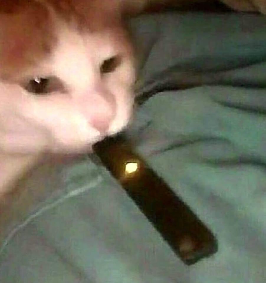 when the sleep paralysis demon finally lets you move.