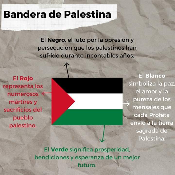 El significado de la bandera de Palestina.