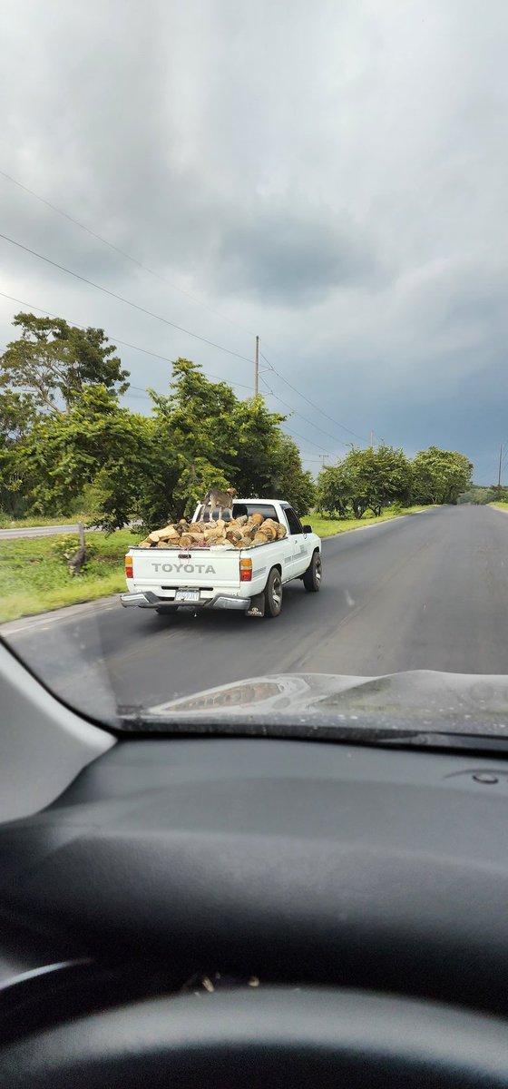 BalanSthiber's tweet image. 🤔🤔🤔🤔 sin miedo!!!