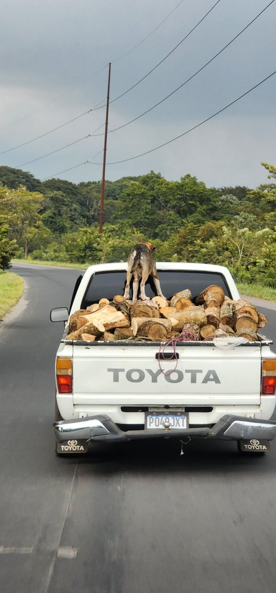 BalanSthiber's tweet image. 🤔🤔🤔🤔 sin miedo!!!