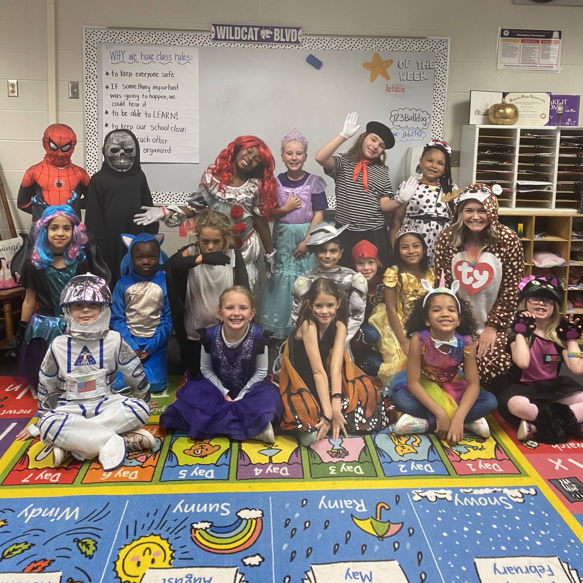 misssieck's tweet photo. Halloween on a Monday… spooky! 👻🧡 @OPEbulldogs https://t.co/cyoQE32XKP