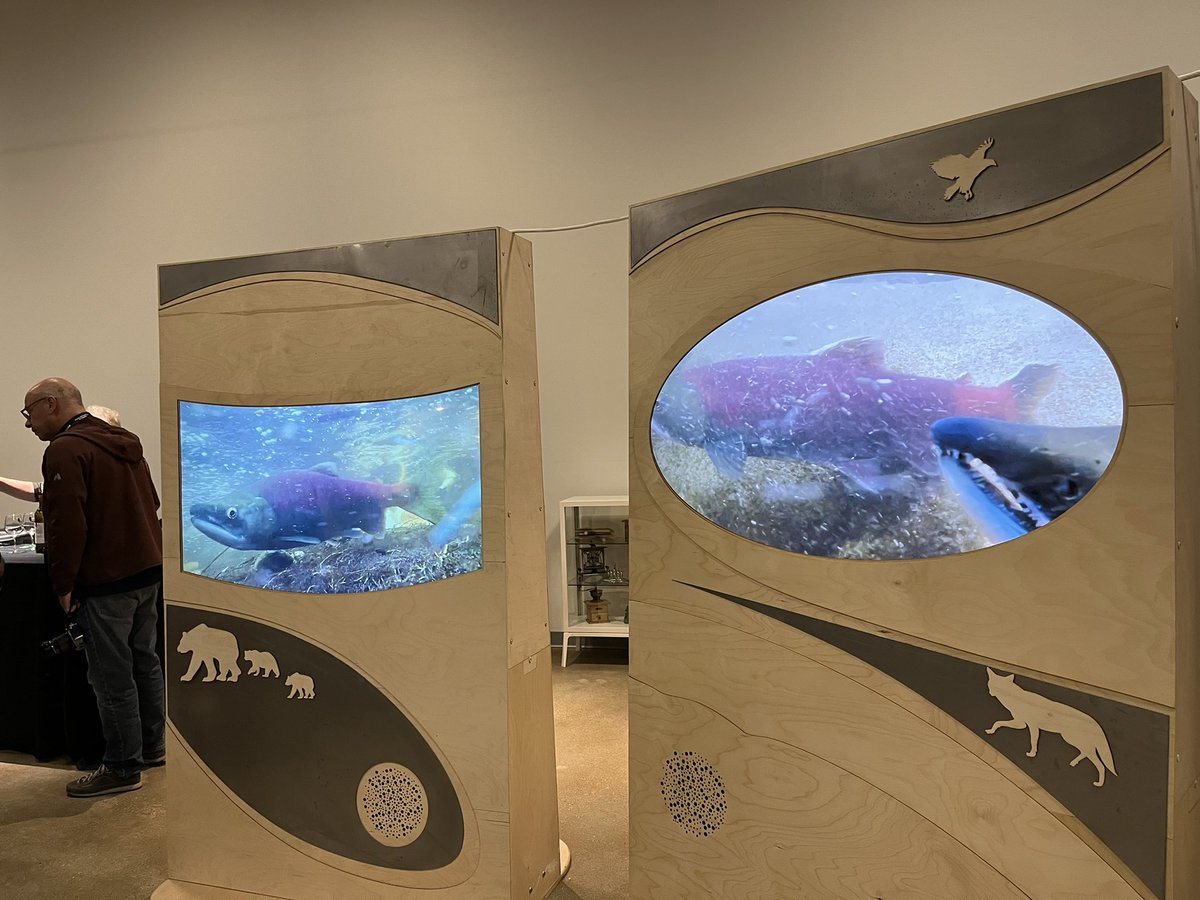 Ok_WaterBoard's tweet photo. Wonderful to see the grand opening of the WaterWays exhibit at #Osoyoos Museum & Archives as part of the “Nk’mip (Osoyoos Lake) - Heart of the Watershed” water science forum. #nkmip #osoyooslake #olwsf2022 #okanagan #okanogan https://t.co/Zg4kV1yUvv