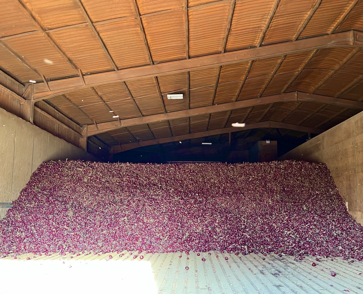 Dirt_Science's tweet photo. BIG thanks to the brilliant @Adrian__Baker &amp; team @parrishfarms for an excellent fieldtrip to the farm. Always learning something new every time I come with the @CranfieldAgrifo Future Food Sustainability MSc students. He knows his onions! 🧅🧅🧅 https://t.co/niA6kcNjoZ