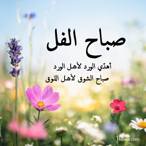 حاكم الشمري ☪︎ 💙🤍 tweet media