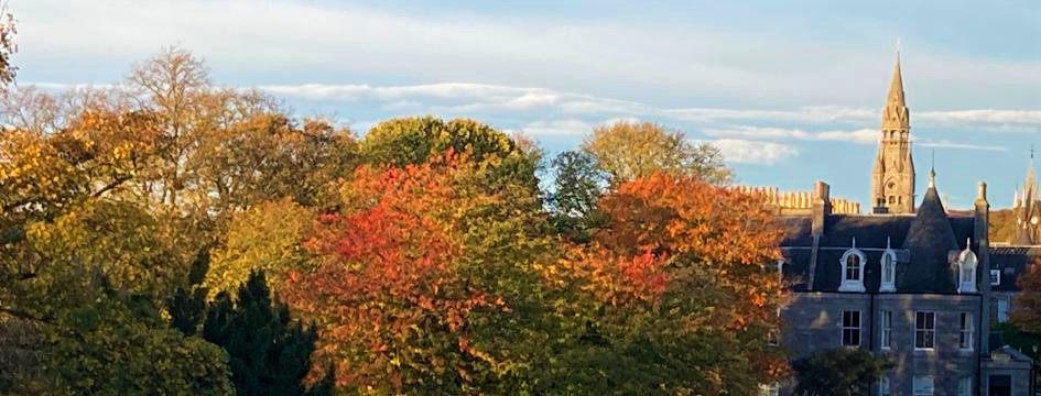 aurora_planning's tweet photo. Whilst the changing of the clocks marks the end of British summer time, with that also comes the glorious colours of autumn... And, for what’s been colourful in planning this month, here's our October Spotlights: https://t.co/TAa6aoLOHp https://t.co/cbReIM3YTH