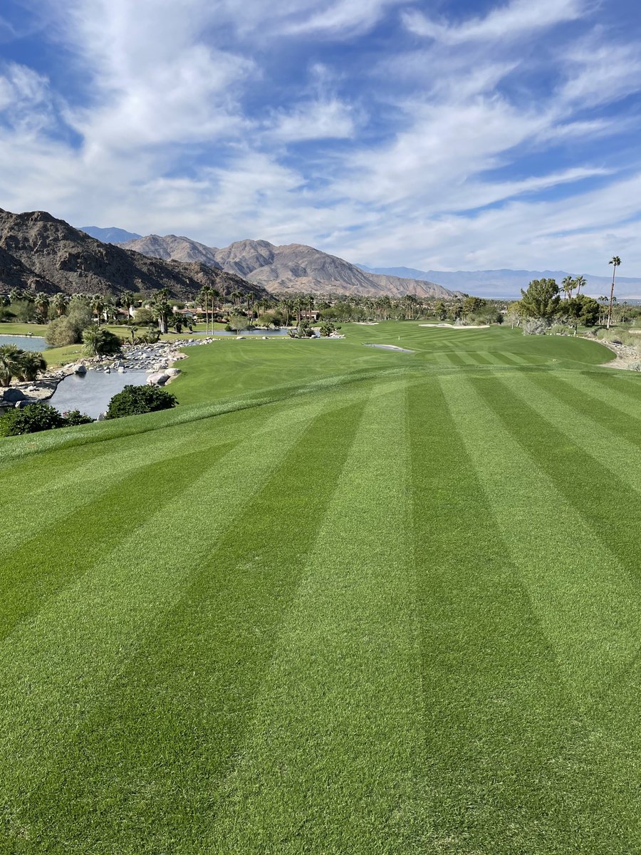 Opening day tomorrow. The eleventh hour but thing came together.