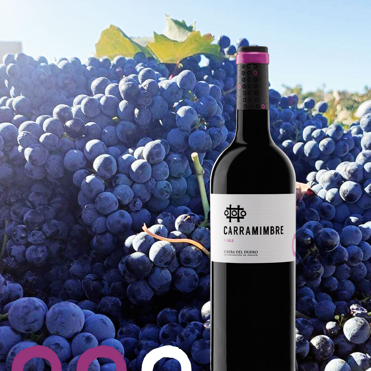 Destaca por su personalidad y equilibrio. Vino muy afrutado y de cuerpo medio. Aromas a frutos rojos y ligero toque de madera. 

#CarramimbreRoble #vino #vinotinto #wine