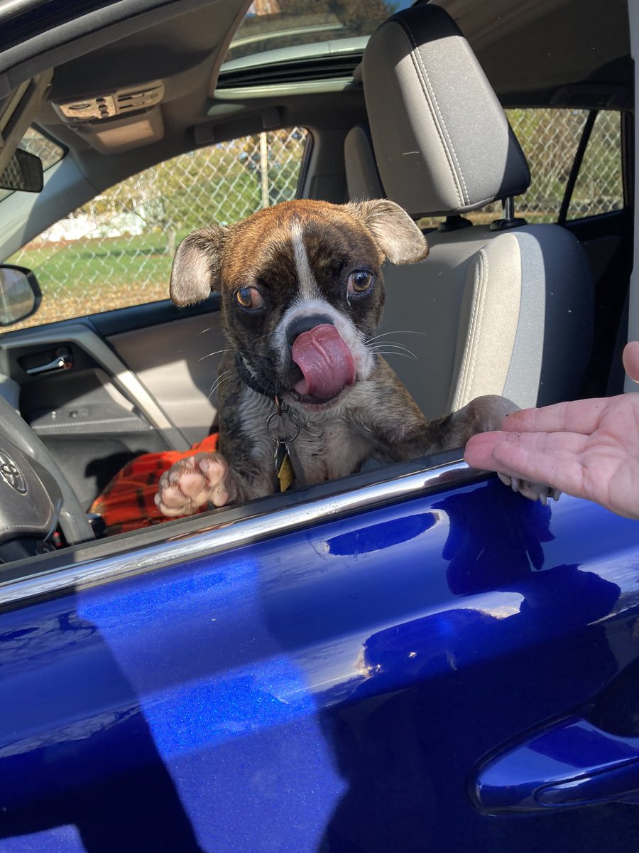 Thank you Tewksbury Fire Dept Chief Kearns, Lt Austin,  
Lt Keddie, FF Temmallo &amp; 
FF McNamara for your assistance in getting Louie safely out of Round Lake. Thku to the resident who called