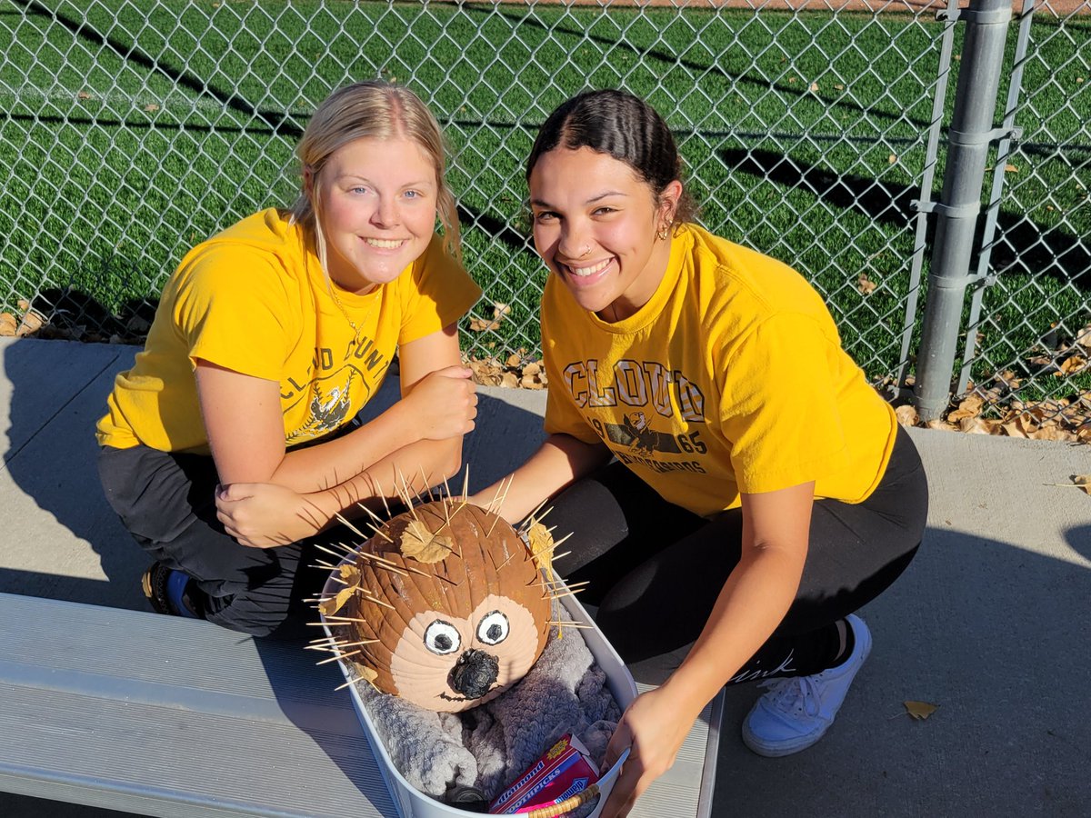 Cloud County College T-Birds Softball tweet media