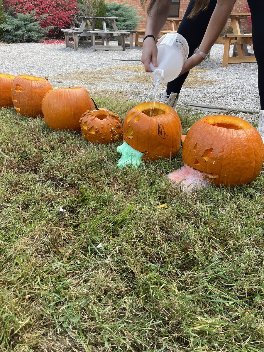 mrscomptons4th's tweet photo. Fourth grade Halloween🧡 who doesn’t love cleaning out pumpkins, making your own face, and watching it volcano out  of the mouth! #koalascreate #omeshalloween https://t.co/ajxbwzqMcK