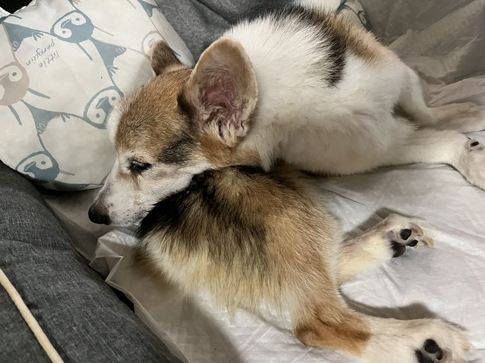 おはようございます。 