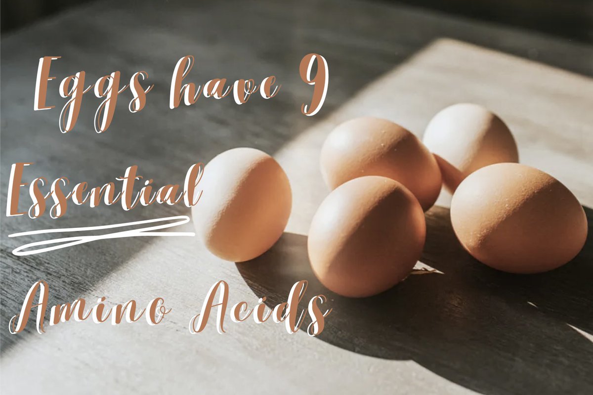 #eggs #CAO22 🍳