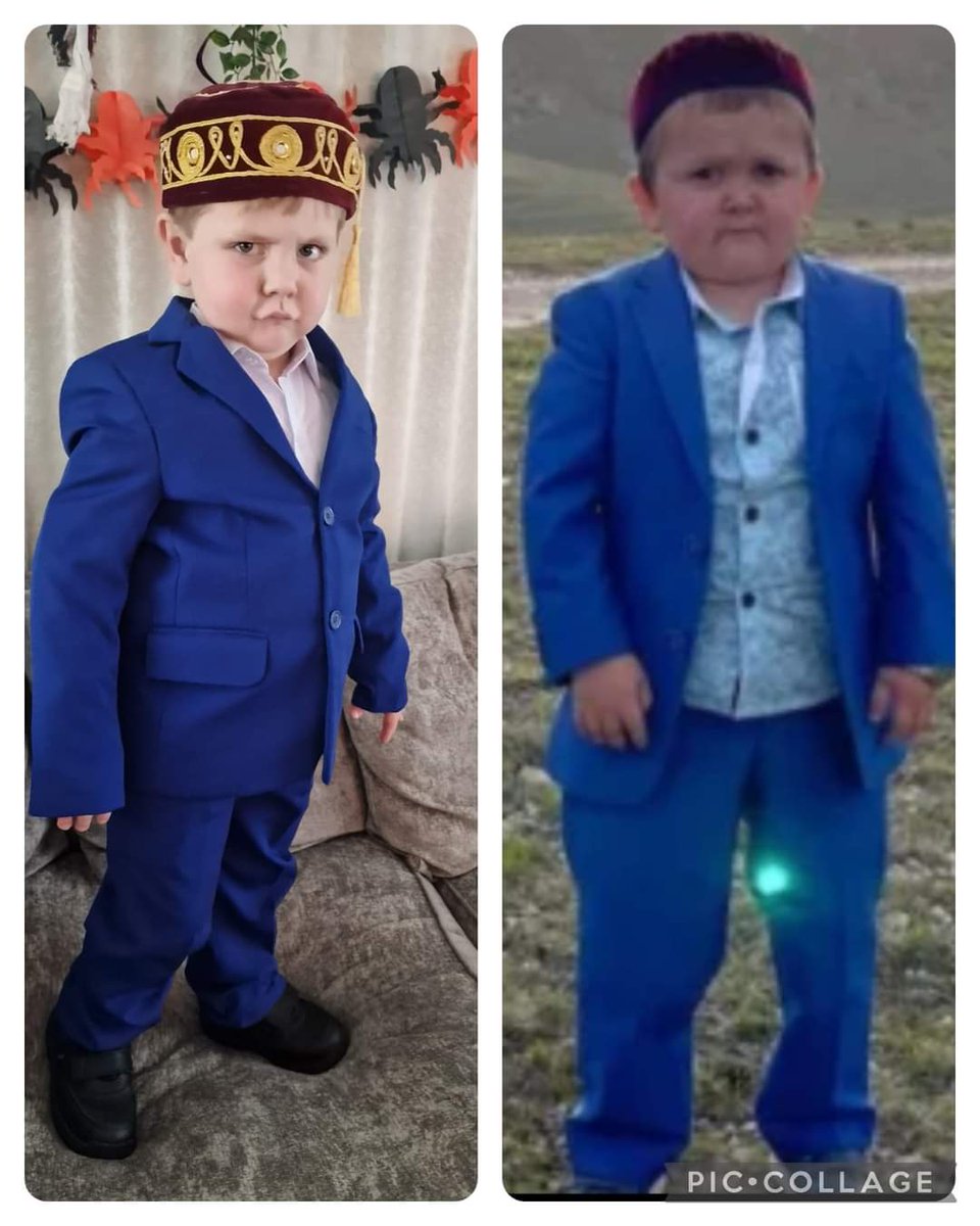 leon101275's tweet photo. @HasbullaHive My mates lad winning Halloween @HasbullaHive @Hasbulla_NFT @scousers @ufc @UFCpaddy https://t.co/UYdtX3yXGe