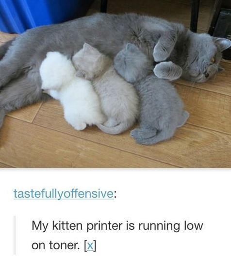 [Image: FgbaYThX0AAlJ19?format=png&name=small]