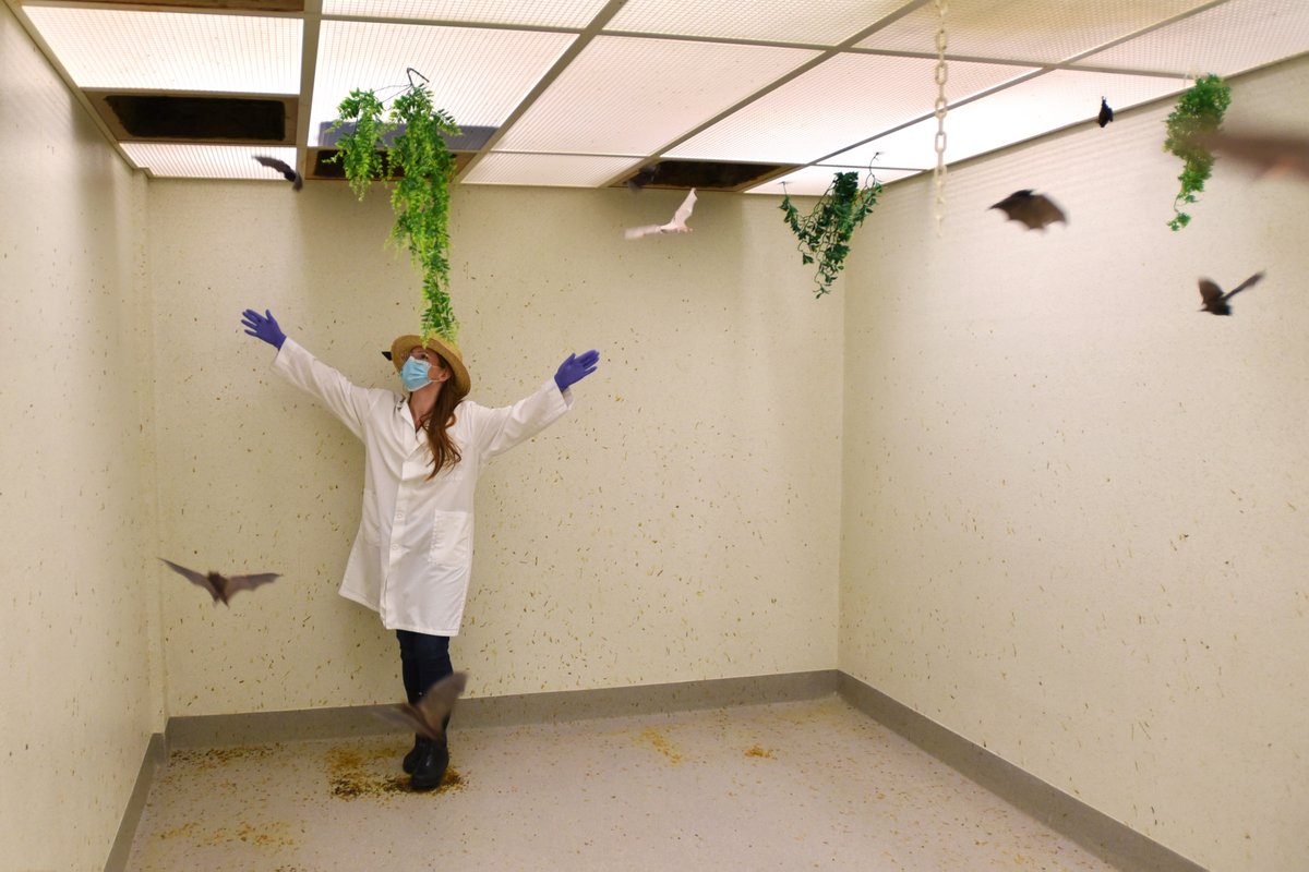Tweet by WSUVETMED