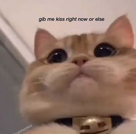 WholesomeMeme's tweet photo. https://t.co/D2XrupcJD1