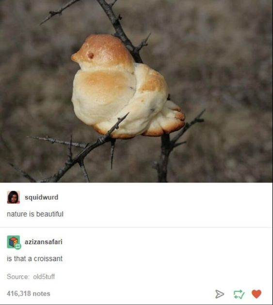 WholesomeMeme's tweet photo. https://t.co/ls5SOcrWUr