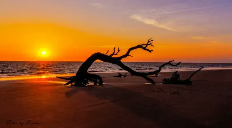Last days to save $30 (a 40% discount) on a Nikonians Gold #Membership. Image (c) by massulo
"This is a treasure. The information at Nikonians is great, and I am glad and honored to be part of this group." -- Marcelo M, Texas 
bit.ly/3gWsJai 
#photo #community #nikon