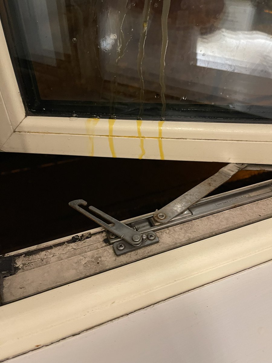 Surprise gift through open window tonight. #rathmines #Halloween #dublinhalloween