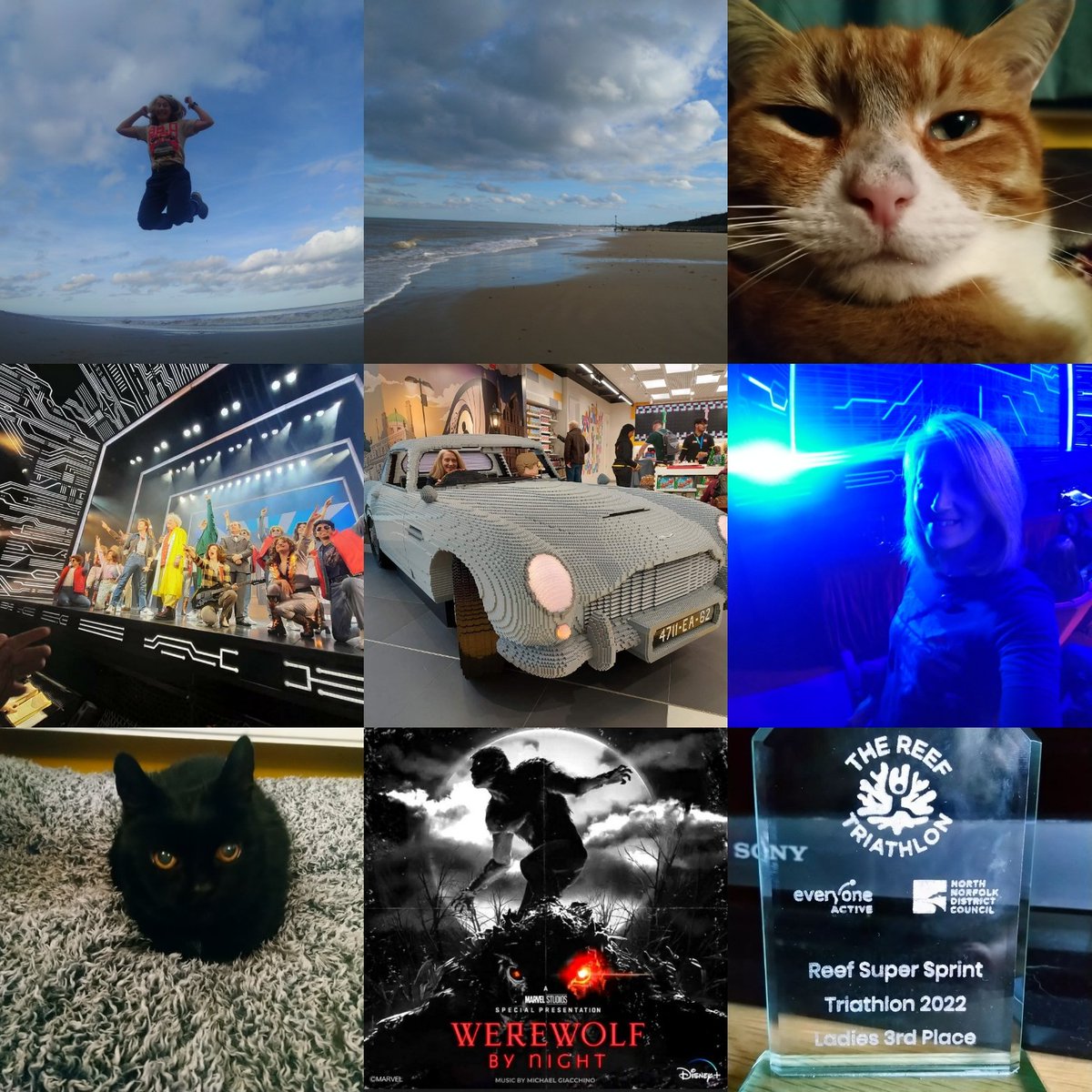 RachelBuk's tweet photo. Thank you October, you've been great! 😊 (part two!) #october #thankyouoctober #memories #werewolfbynight #triathlon #beach #Mundesley #norfolkcoast #catsitting @BTTFmusical https://t.co/yiuRhLvBO9