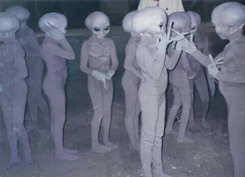 voidiez1's tweet photo. @fuckedupfoods Me and the boys discussing this tweet https://t.co/NQawP6ugsk