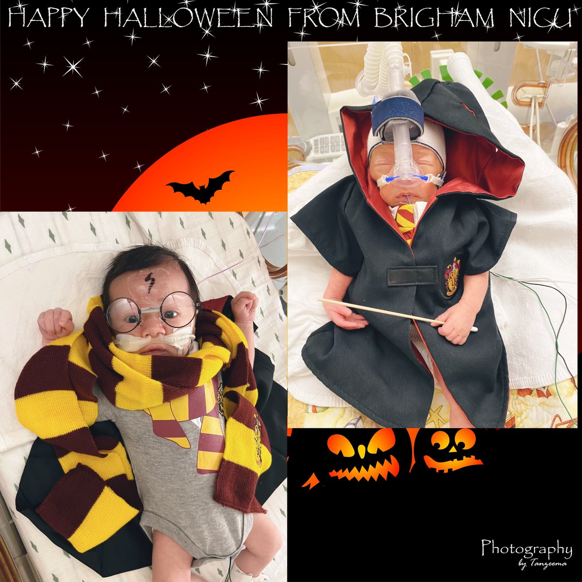 BWH Dept. of Pediatrics, Division of Newborn Med. (@brighamnicu) on Twitter photo 