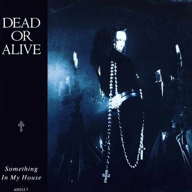 A perfect song (and music video) for Halloween that was criminally not released (until after January of the next year and not during the perfect season for it).... #deadoralive #peteburns #somethinginmyhouse #halloween #samhain #madbadanddangeroustoknow #missedopportunity