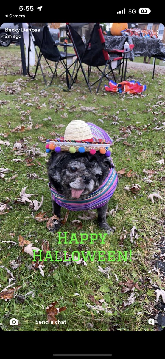 KevinDeRose's tweet photo. Delaney says, “Happy Halloween!” https://t.co/yarnclGUeA