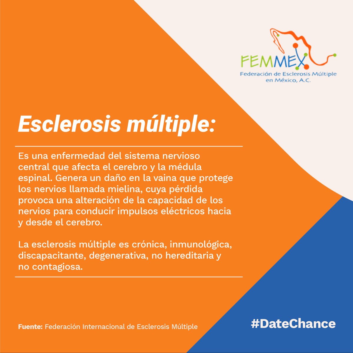 FEMMEXAC's tweet photo. La #EsclerosisMúltiple es una enfermedad inflamatoria y desmielinizante, es decir, que hay un daño en la mielina, la vaina que protege los nervios y que permite que éstos transporten sus impulsos rápidamente. 
#DateChance https://t.co/8Ek6L8b6lO