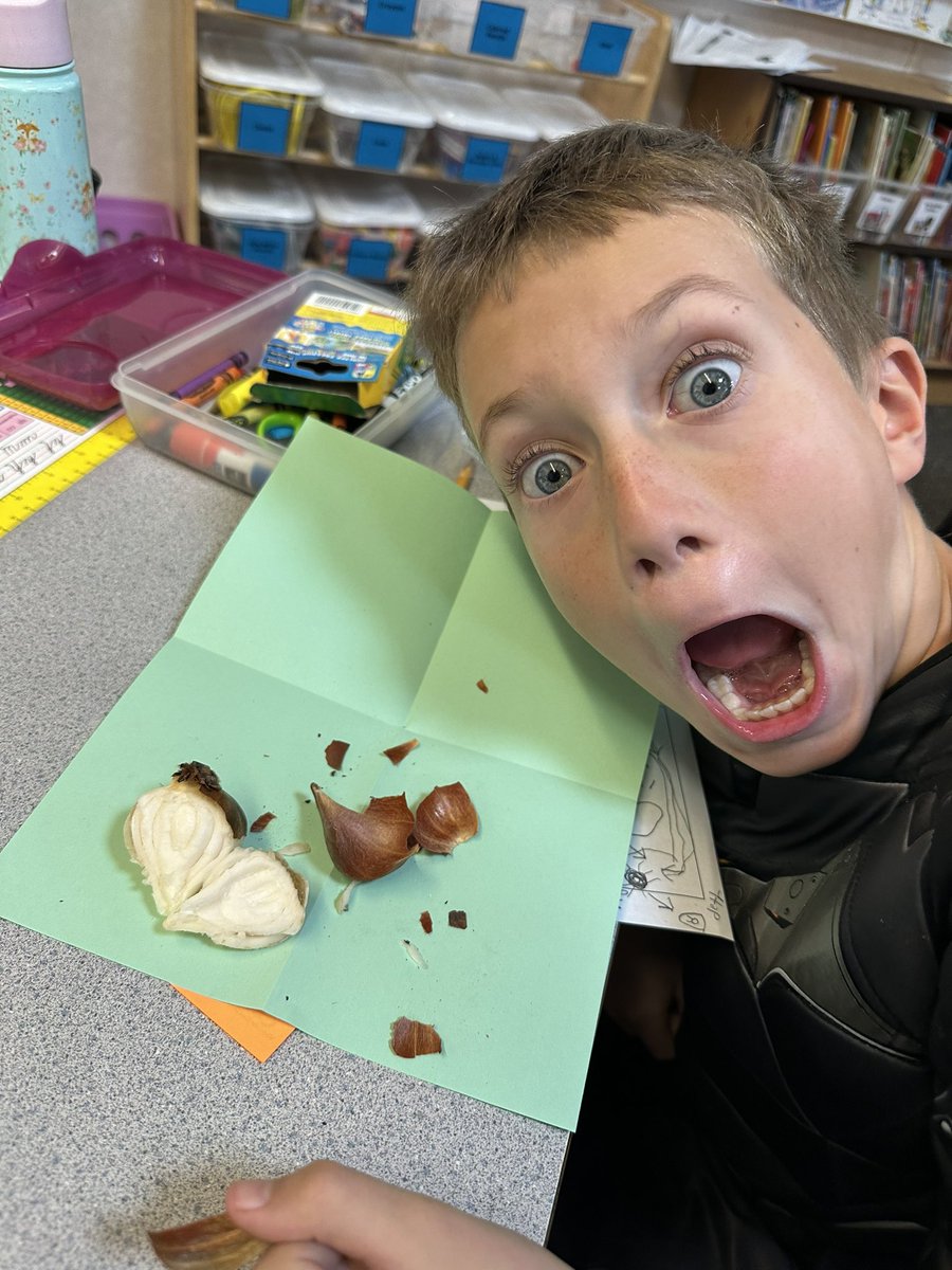 CTrommels's tweet photo. Cookies, games, and spooky science. Such a fun day today! https://t.co/dbtQg4UEik
