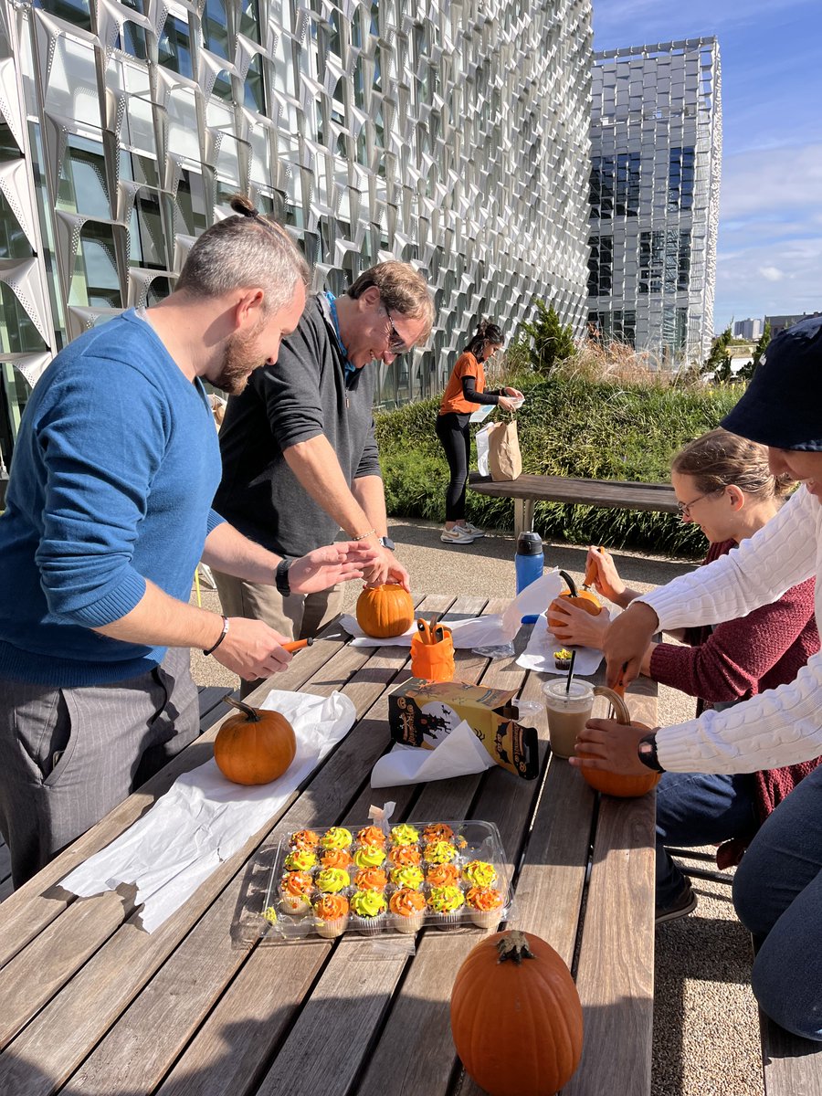 We celebrated Halloween today and carved some spooky pumpkins 👻🎃 which one scares you most? 📊