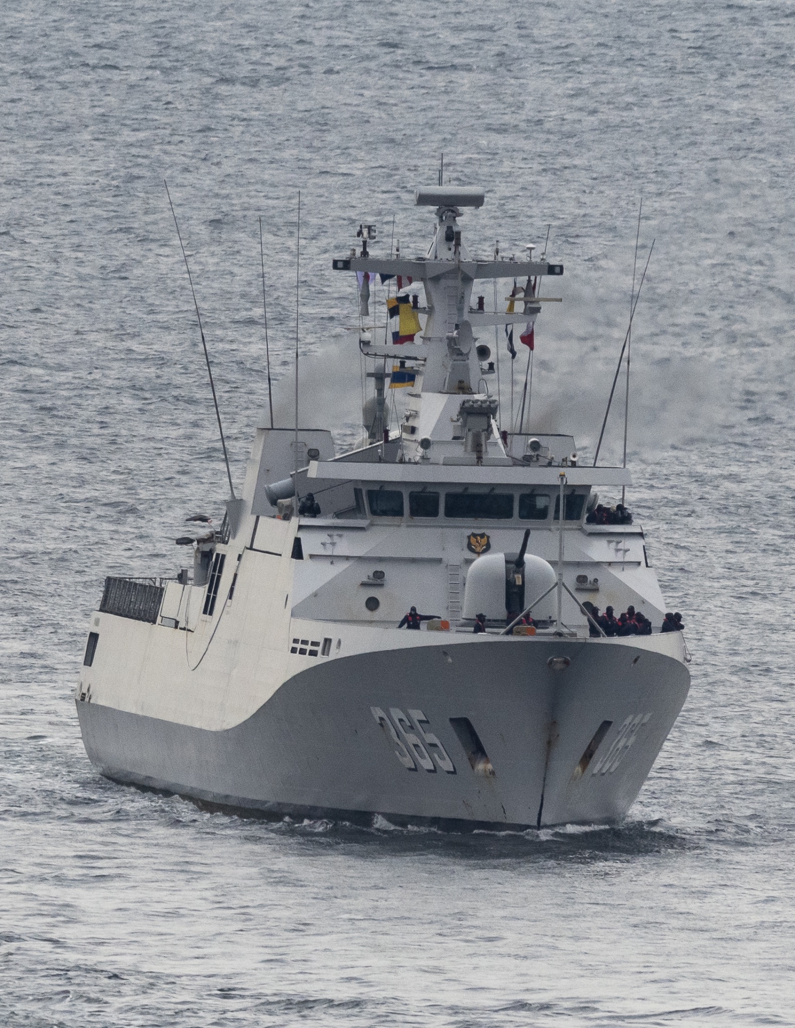 【標本】大型 ゲストロイテナガコガネ（ssp corompti?：ベトナム中部QuangNam）♂65ミリ+♀58ミリ ゲストロイテナガコガネ No.1〜3 | 愉快な海と波と恵