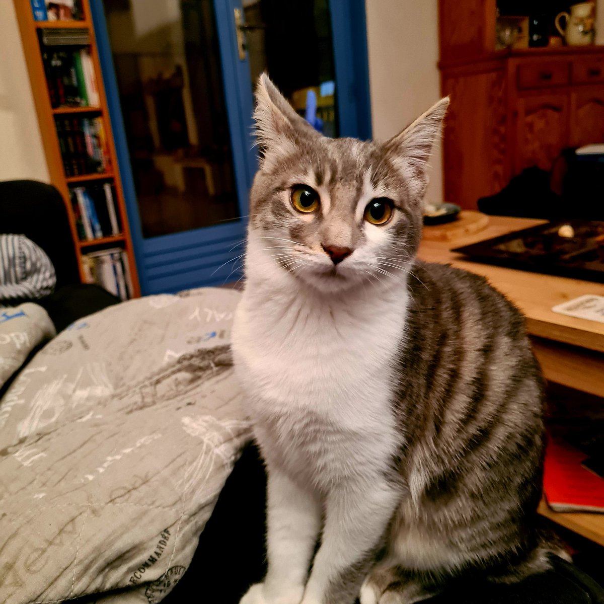 Dehors 
La pluie rage~
Pas simple de cocooner 
Mais elle essaie 

Good night fools
👁Ch'tite môa