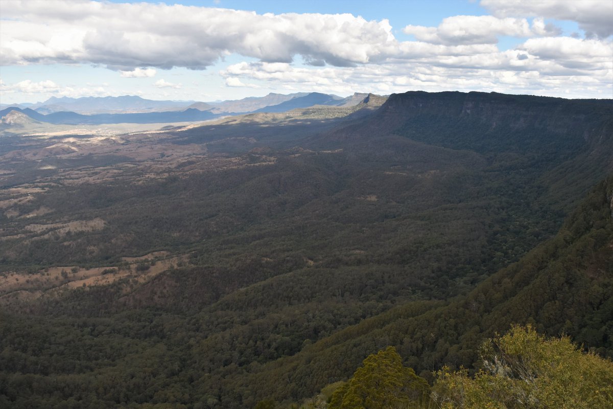 Fiona Backhouse (@fiona_backhouse) on Twitter photo Excited (and saddened?) to share a new study with <a href="/lyrebirdlab/">Lyrebirdlab</a> linking cultural diversity in the Albert's #lyrebird to #habitatfragmentation. Individuals with less habitat availability mimic fewer species, despite most species occurring in all study sites.
doi.org/10.1111/ddi.13… Excited (and saddened?) to share a new study with <a href="/lyrebirdlab/">Lyrebirdlab</a> linking cultural diversity in the Albert's #lyrebird to #habitatfragmentation. Individuals with less habitat availability mimic fewer species, despite most species occurring in all study sites.
doi.org/10.1111/ddi.13…