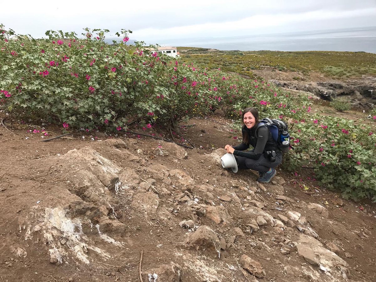 So Cal Botanists tweet media