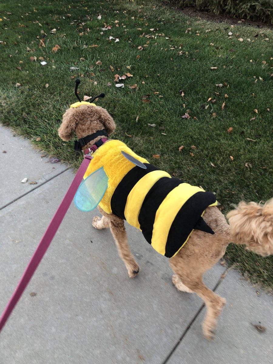 Chris Coffey tweet media