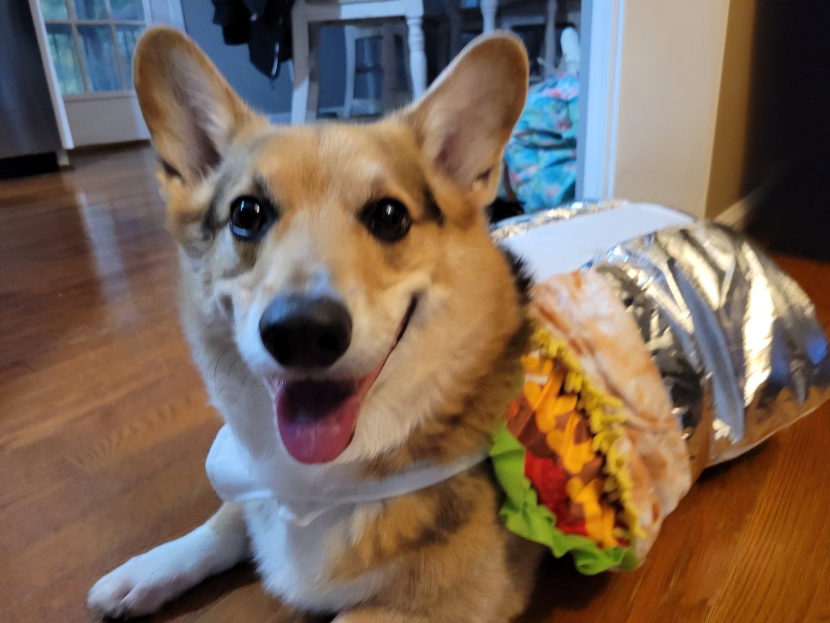 thatguyclarke's tweet photo. Happy Halloween! 🎃 https://t.co/jNic93Uovn