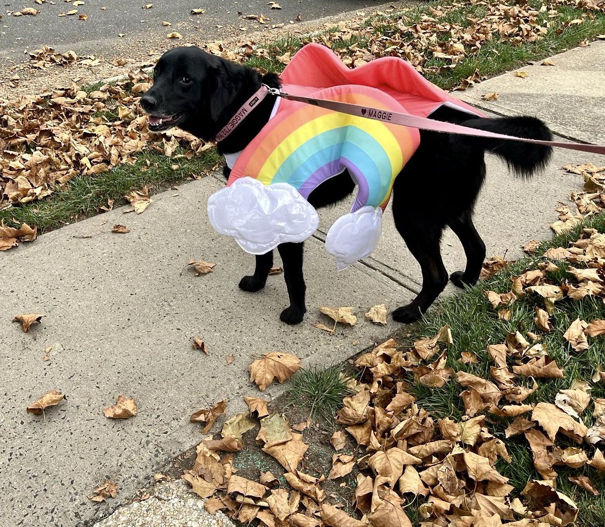 Happy Halloween from our special rainbow!