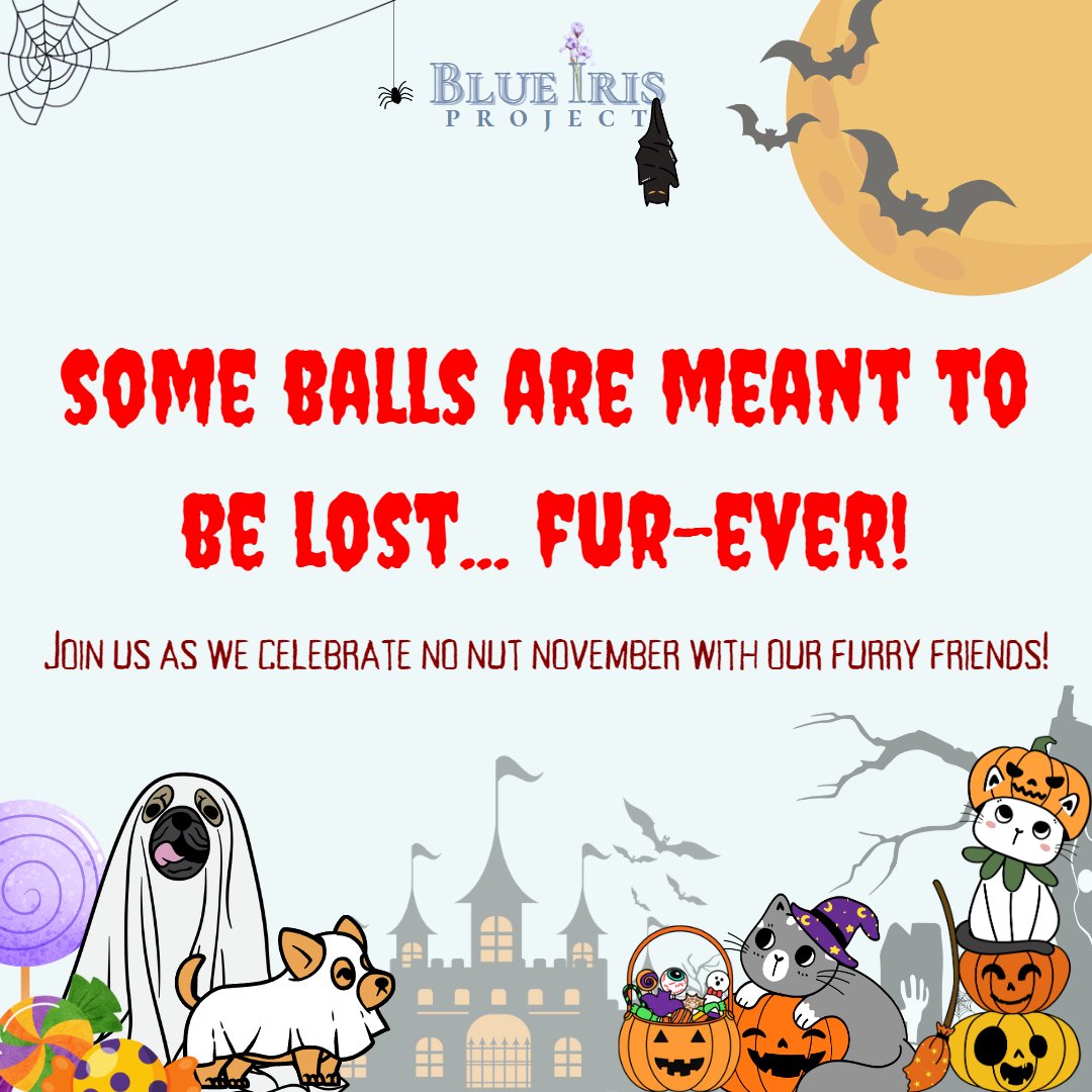 blueiris2022's tweet photo. Happy Halloween from our furry friends! Here's a glimpse of our November project! Stay tuned for more updates!

#BlueIrisProject
#BlueIrisProject2022
#NOvemBALLS
#NoNutsNovember https://t.co/bJZCvSKpXr
