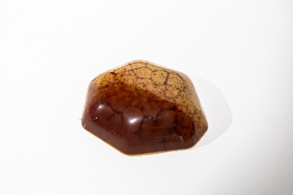 De spanjaard Lluc Crusellas is vandaag de winnaar van World Chocolate Master geworden!!!