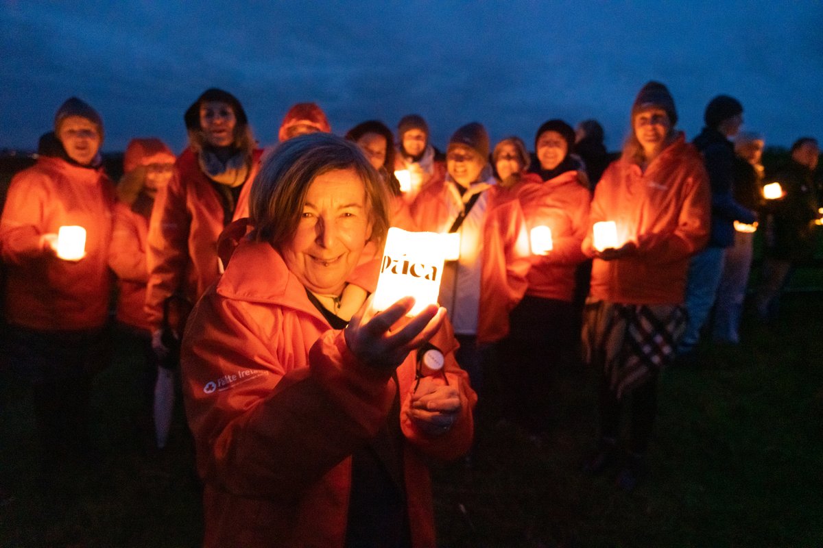 Fáilte Ireland tweet media