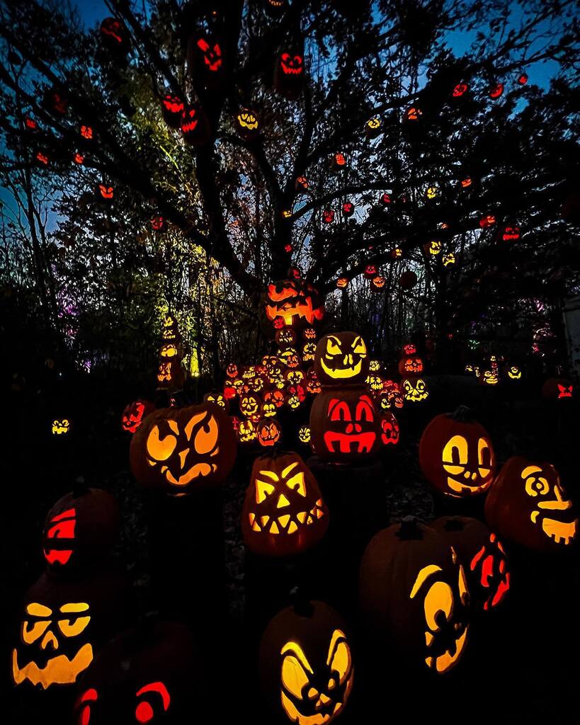 iLoads's tweet photo. -this is halloween-

🎃🎃🎃🎃

#happyhalloween #jackolanternspectacular #minnesotazoo #minnesota #boldnorth #capturemn #jackolantern #pumpkin #halloween #thisishalloween #thisismymn #onlyinmn #exploremn #twincities  #landof10000lakes #minnesota365 #minne… https://t.co/kIUs9HAOoi https://t.co/66NBcyRqUJ
