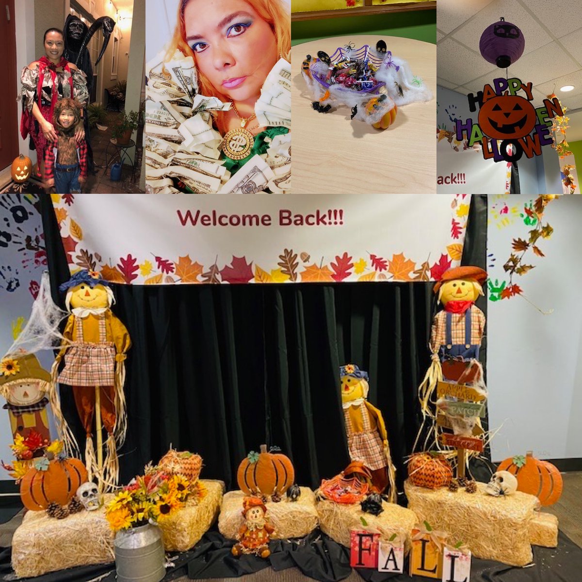 Orlando Collections tweet media