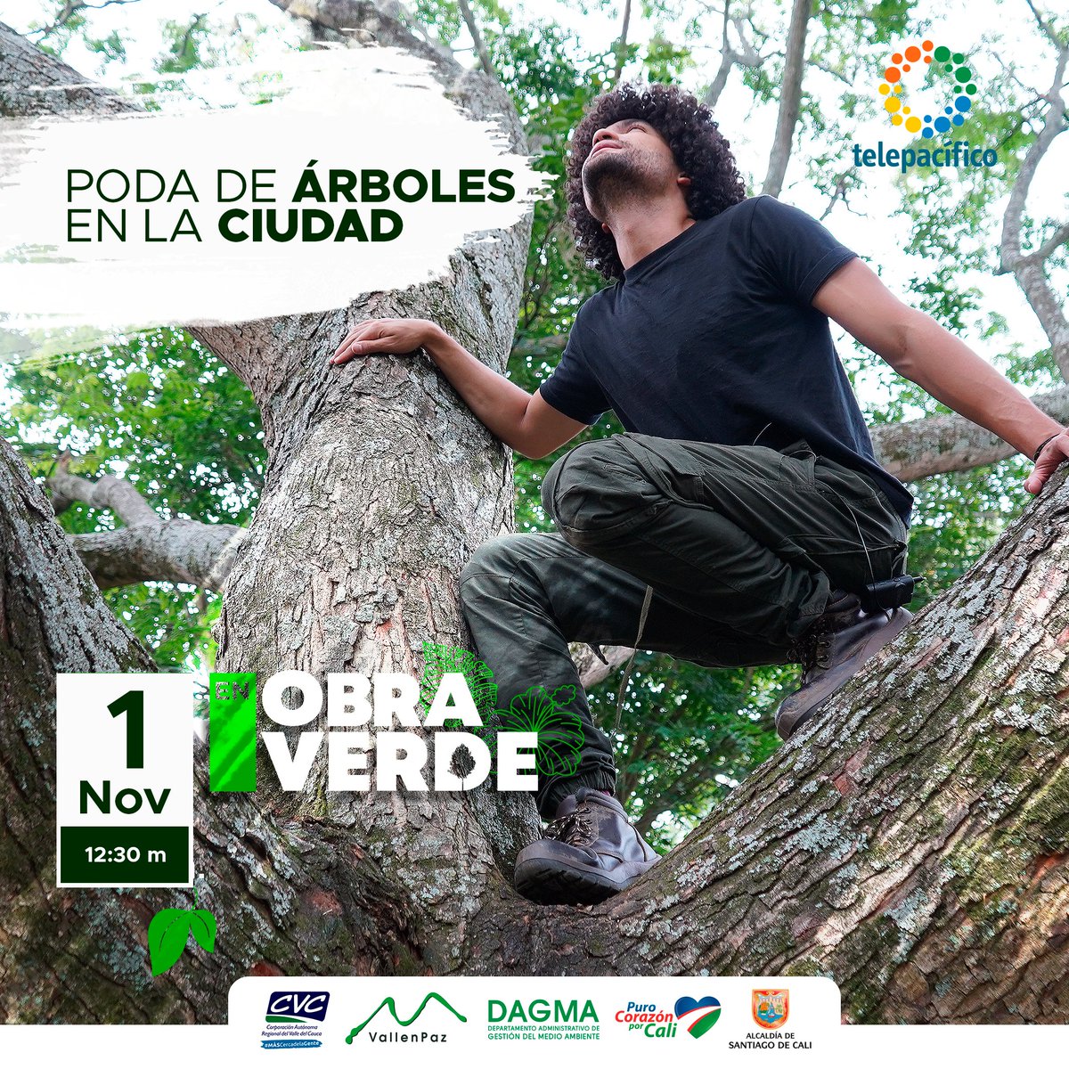vallenpaz's tweet photo. ✅Regresa #EnObraVerde 🌳cargado de buenas prácticas ambientales en la ciudad. No te lo pierdas este martes 1 de noviembre de 2022 a las 12:30 pm por @TelepacificoTV.

Campaña liderada por @CvcAmbiental y @DagmaOficial @AlcaldiaDeCali. https://t.co/vpISMUwBMi