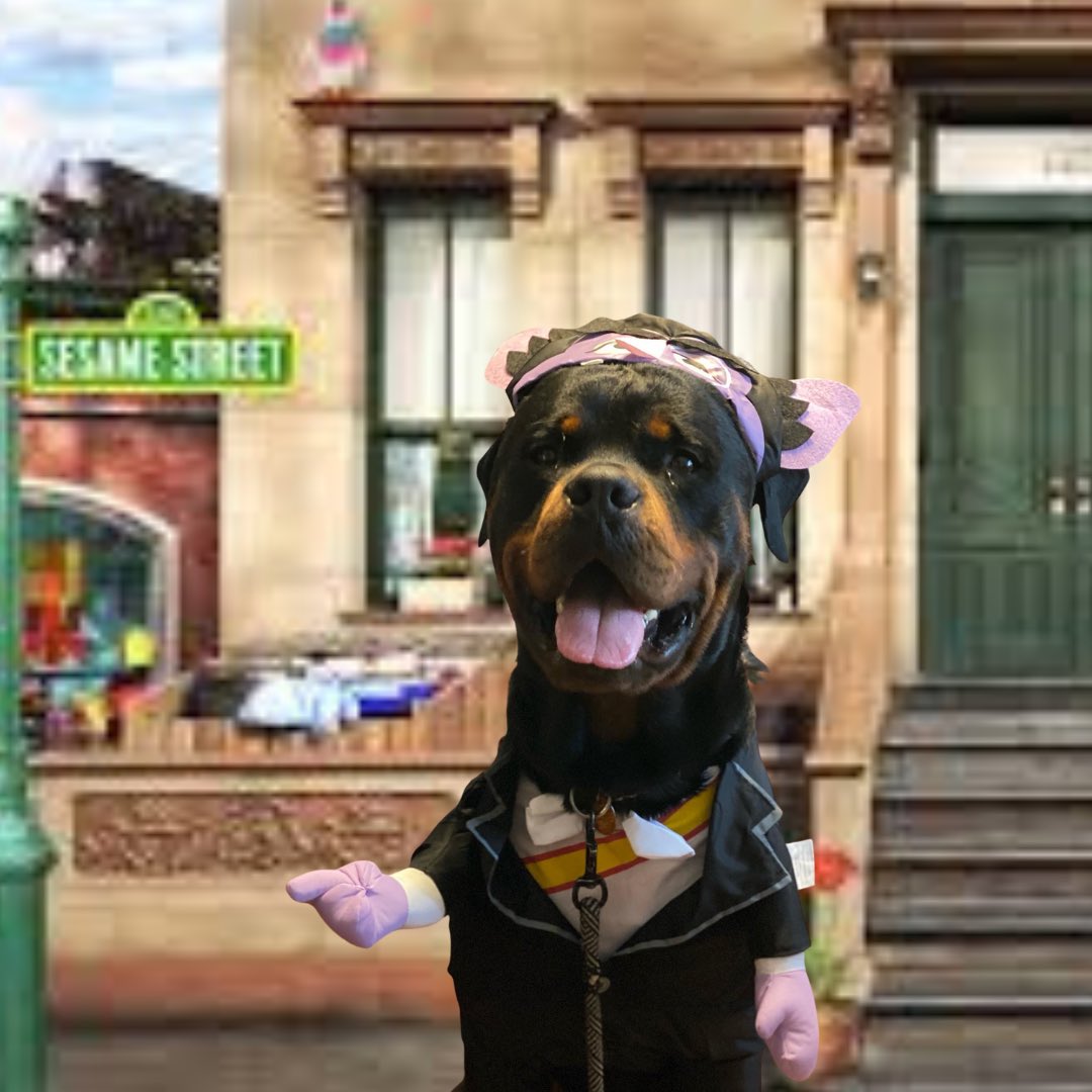 Stephanie M. DiMatteo tweet media