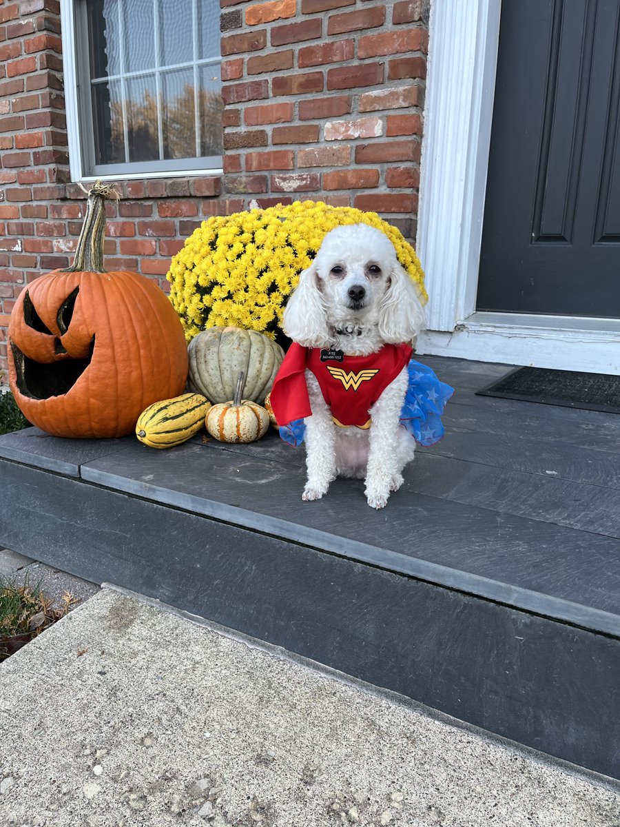 Darlis Fite tweet media