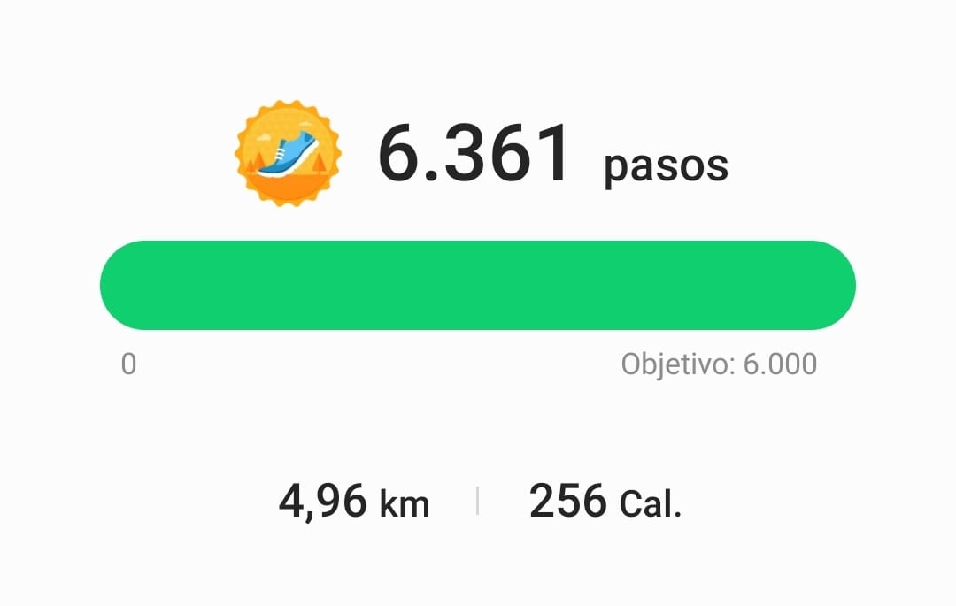 Por fin pude cumplir mi meta diaria! #ROMA5