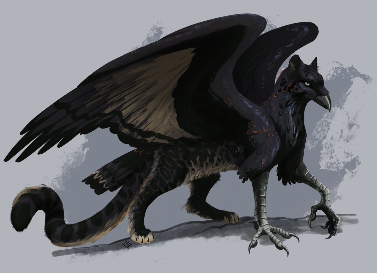 spockirkcoy's tweet photo. while im here, here's another creature from our campaign. Had to draw her after she showed up... Raven/falcon melanistic Snow Leopard!
#dndart https://t.co/i9GK3znoge