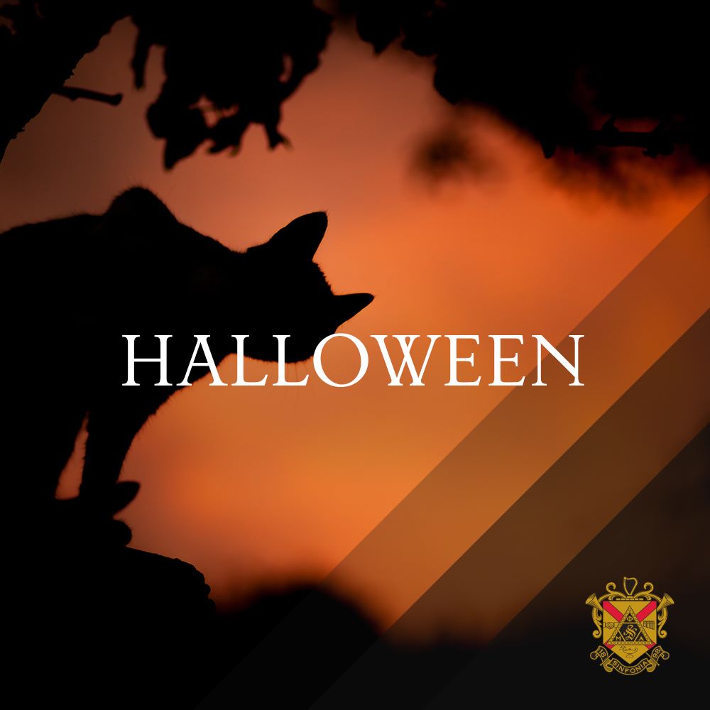 phimualpha's tweet image. 🎃🕯 Wishing our Brothers and friends a Spooktacular and safe Halloween! 👻🎃